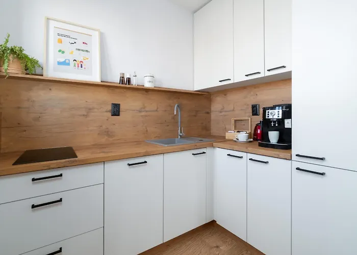 Comfortable Two-bedroom By Renters Poznaň